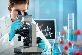 Ścisłe Matematyka Fizyka Chemia Przyrodnicze Biotechnologia Nauki przyrodnicze Ochrona środowiska Techniczne Automatyka, robotyka Grupy kierunków studiów Rolnicze,