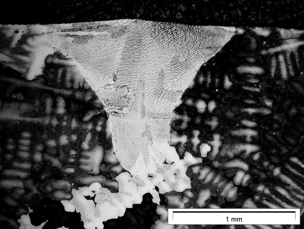 Do ujawnienia struktury materiał trawiono w odczynniku o składzie chemicznym: FeCl3, CuCl2 2NH4Cl 2H2O, HNO3, HCl i H2O.