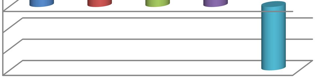 2012 2013 II kw 2014 Kurs akcji i wartość księgowa na ostatni dzień okresu 1,4 1,2 1 0,8 0,6