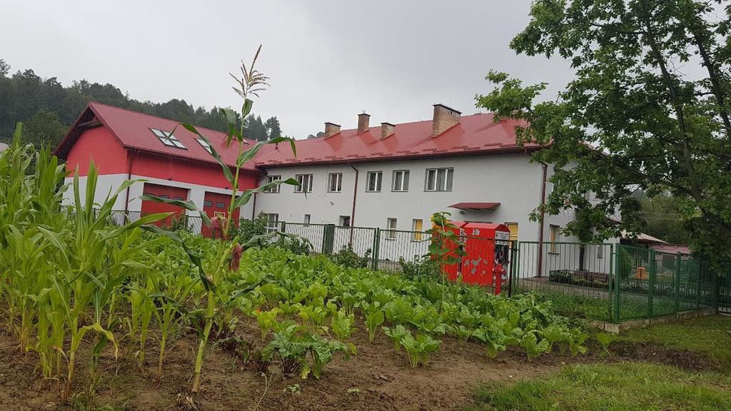Integracja społeczna niska liczba organizacji pozarządowych związana z niedostateczną aktywnością i inicjatywnością mieszkańców; Ochrona środowiska brak sieci wodociągowej, prowadzący do wzrostu