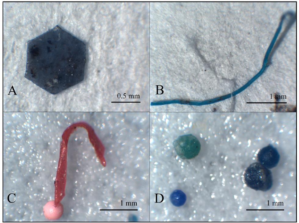 A) z placka filtracyjnego, B) PP włókno usunięte w piaskowniku C) PE granula z PET czerwonym fragmentem z