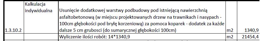 2. na wyznaczonym obszarze parku zagospodarowanie terenu obejmujące posadowienie elementów małej architektury, budowę nawierzchni betonowej oraz żwirowej, w tym boisko do gry w boule, montaż latarni,