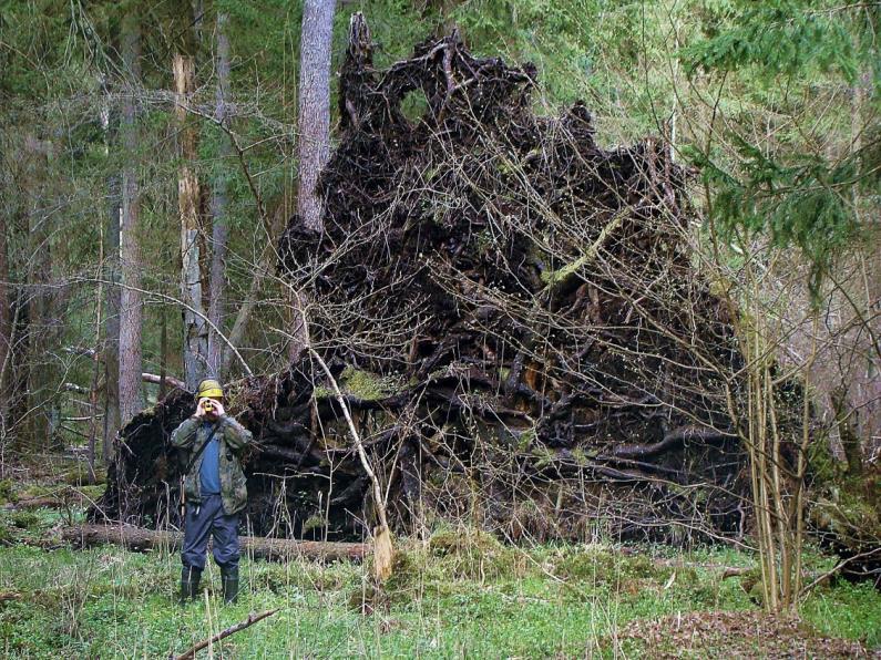 Działania wdrożeniowe (B) B1 - Określenie optymalnego terminu do pozyskania danych teledetekcyjnych w kolejnych latach projektu.