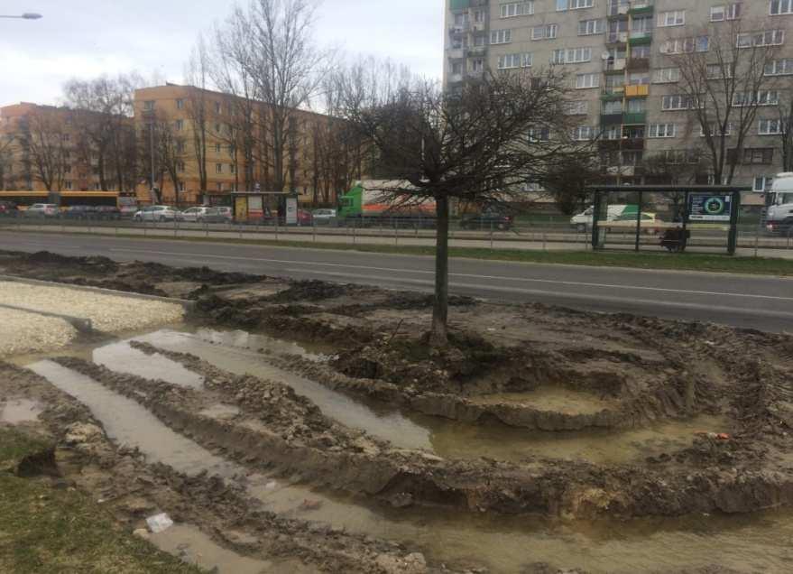 antykompresyjne (mieszanka kamienno-glebowa lub systemy komórkowe).