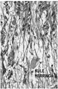 neurosekretorycznych pituicyty (odmiana astrocytów) naczynia