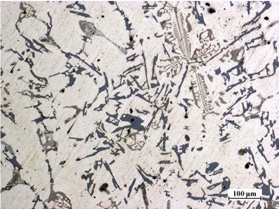 T. Szymczak, G. Gumienny, D. Wilk-Kołodziejczyk, T. Pacyniak: Effect of chromium on the crystallization process równowagi Al-Si-Fe jest fazą Al 5 FeSi. Faza ta posiada morfologię iglastą.