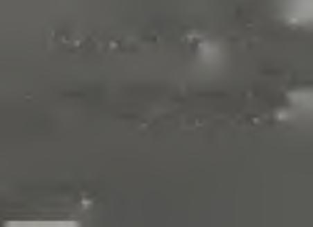 Ir 27