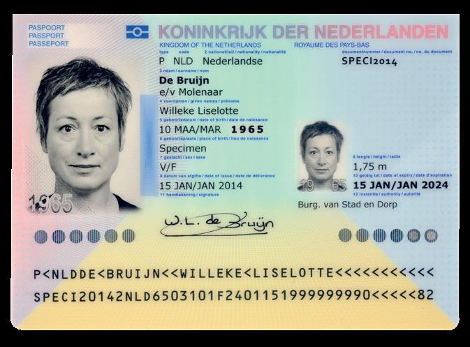 dokumentach