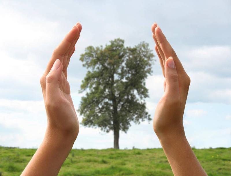 7 Organiczna uprawa roślin medycznych Z drugiej strony, te małe firmy pomagają w zachowaniu tradycji oraz przyczyniają się do zmniejszenia bezrobocia, szczególnie odczuwalnego na obszarach wiejskich.