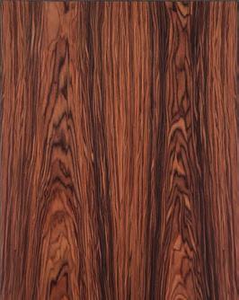 natural or modified veneer WYBARWIENIA ICA OP 400 natura