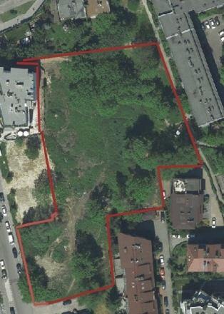 12) tereny zieleni z zadrzewieniem przy ul.