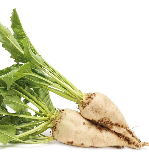 PO STRONIE PLANTATORA Jeszcze więcej