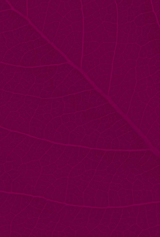 AKTUALNOŚCI KSC S.A. otrzymała Złoty Paragon 2018 - nagrodę Kupców Polskich w kategorii produkty sypkie ADOB Siła nauki Nawozy firmy ADOB nowoczesne szybko przyswajalne skuteczne biodegradowalne