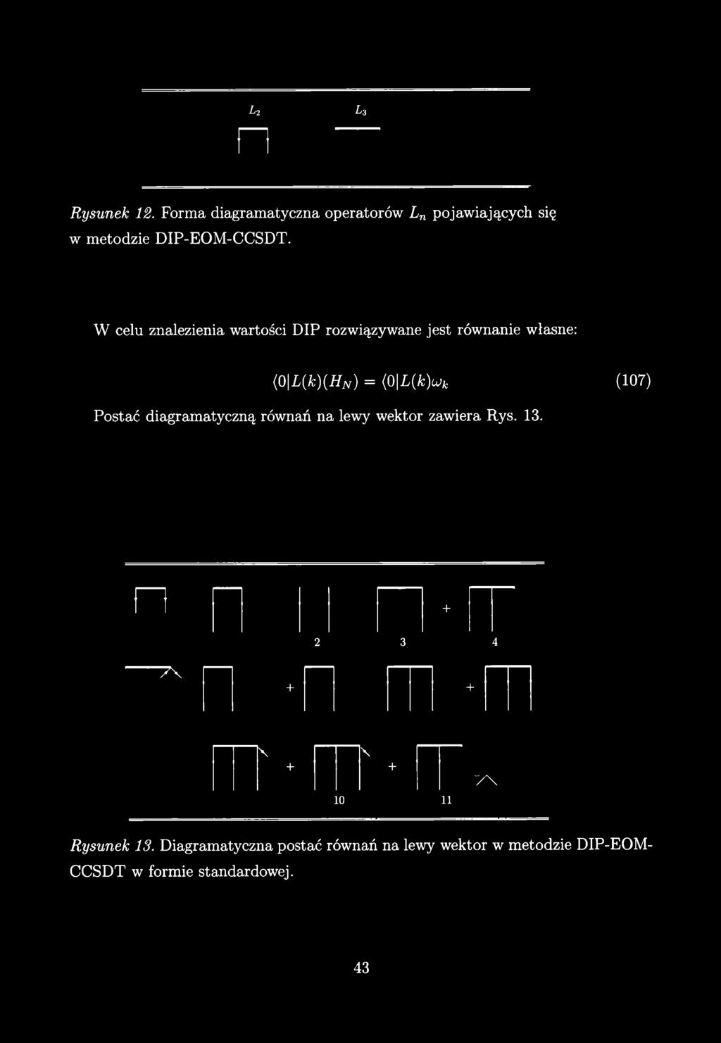 h i/2 3 Rysunek 12. Forma diagramatyczna operatorów L n pojawiających się w metodzie DIP-EOM-CCSDT.