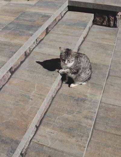 Płyta Vip Łupek Premium granite Płyta Vip Łupek