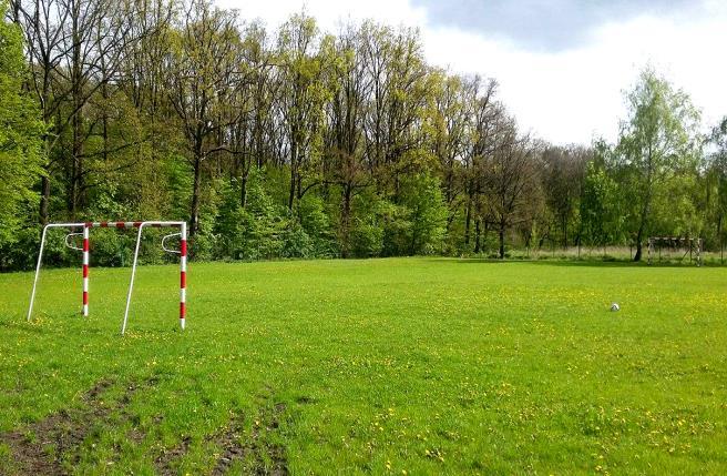 sprzęt do ćwiczeń spalających kalorie: rowery stacjonarne, stepper, orbitrek oraz sprzęt do