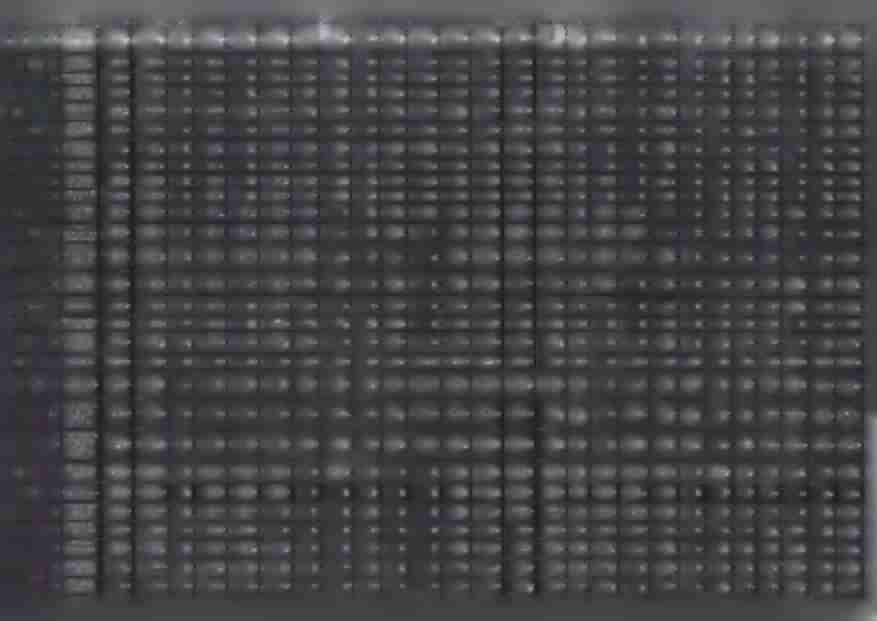 pozcstaiycn 5 OOO.Ot 5 000,00 c.oc 5 000.00 0,00 5 000,00 r ~ ^ 0,00 0.00 0,00 0,00 0,00 C,0( 503,SC 0.00 503,50 0,00 503,50 O.OC 0,00 0,00 0,00 0,00 0,00 0.00 60095 Pozostała działalność 2 000.