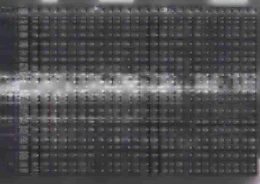 1 38 000,OC 38 000,00 0,00 38 000,00 0,00 38 000,00 0,00 0.00 0,00 0,00 0,00 o.oc o.oc 9 880.2 T l o.oc 9 880,21 O.OC 9 880,21 o.oc 0.00 0.00 o.oc 0.00 0,00 0,00 4230 wyrobów 100.0C 100,00 0,00 100.