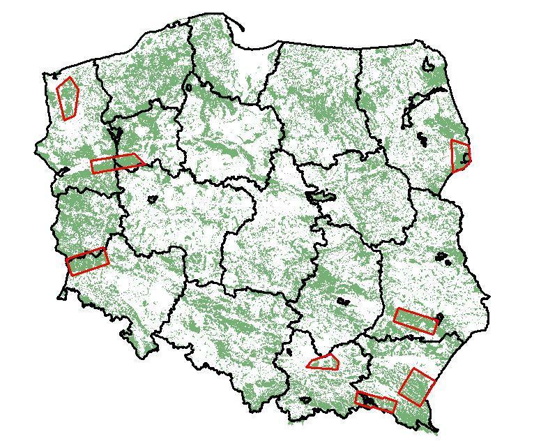 Powierzchnie badań Powierzchnie: Bory Dolnośląskie Puszcza Notecka Puszcza Goleniowska