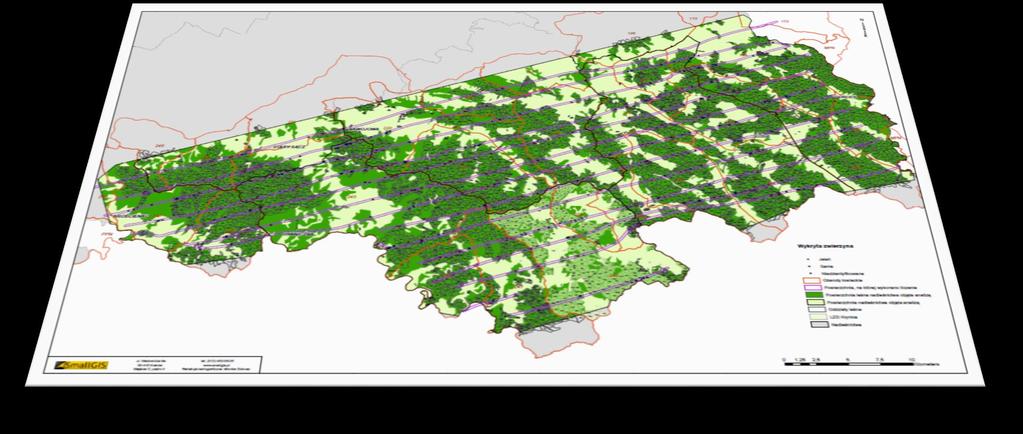 Wynik -