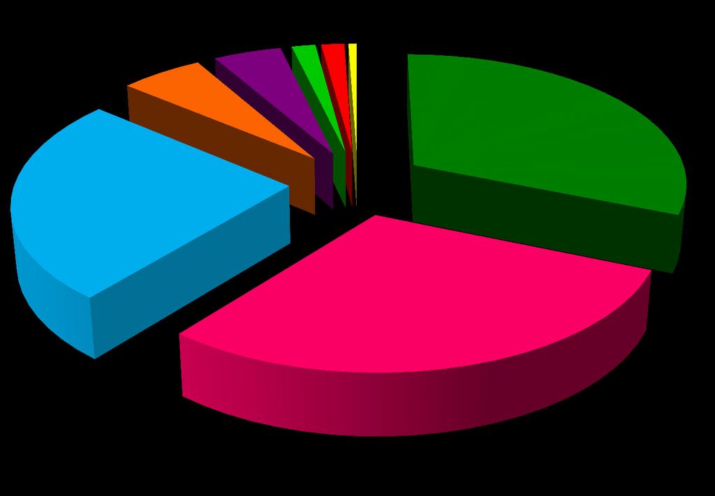 5,60% STRUKTURA GŁÓWNYCH GRUP DOCHODÓW 4,60% 1,56% 1,60% 0,56%