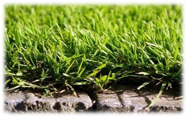 ST 53 SportTop - piasek do golfa i piłki nożnej ST 53 SportTop nadaje się jako piasek do warstw podkładowych do budowy naturalnych boisk do piłki nożnej.