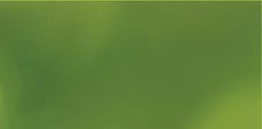 FERTIGREEN Kombi NPK 7-7-5 Cecha jakościowa Wartość Azot całkowity jako N w % 7,0 (86 g/l) Azot amonowy jako N w % 5,0 Azot azotanowy jako N w % 2,0 Fosfor jako P2O5 w % 7,0 (86 g/l) Potas jako K2O w