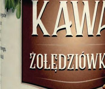 ursinus) 100% (produkt rolnictwa ekologicznego) Sok z czosnku niedźwiedziego: jest skuteczny w leczeniu schorzeń