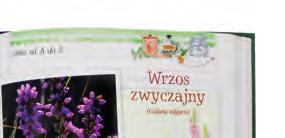 informacje na temat 170 roślin