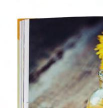 Złota kolekcja ziół Bestseller 24,90 134 Super cena!