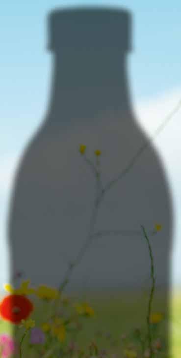 500 ML