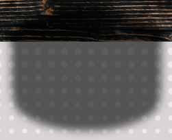 24 FILETY Z