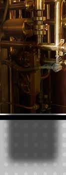 80 WHISKY SINGLETON OF