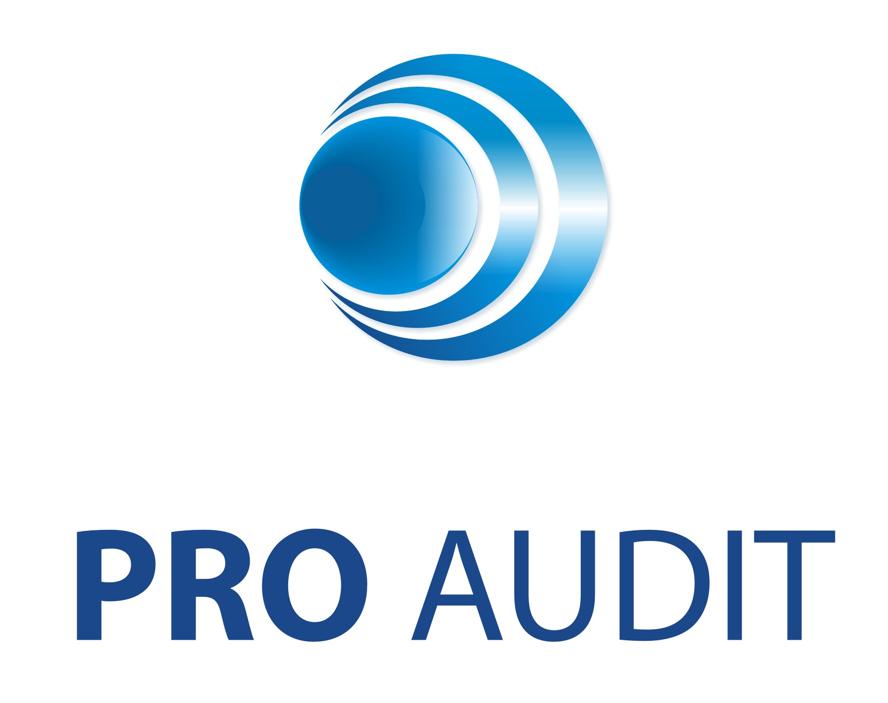 PRO AUDIT Kancelaria Biegłych Rewidentów Spółka z o.o. ul. E. Wasilewskiego 20 30-305 Kraków Tel: 12/632-80-32 Fax: 12/632-80-64 www.proaudit.pl e-mail: proaudit@proaudit.