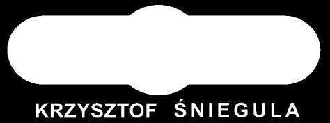 TERMOMODERNIZACJA I ZARZĄDZANIE ENERGIĄ ul. Struga 58/1 9-567 Łódź tel.