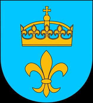 Raport z konsultacji społecznych dotyczących projektu