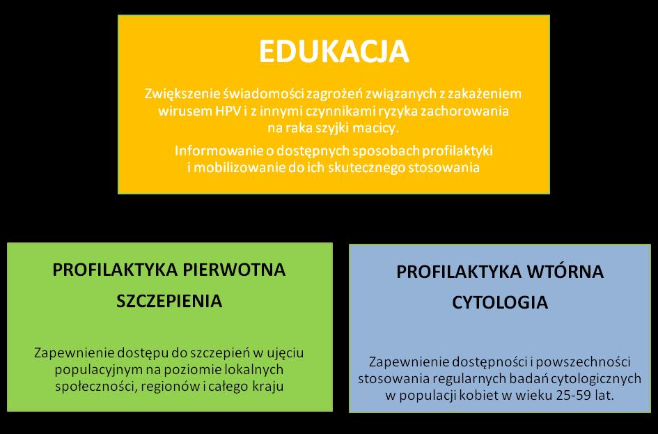 Rys. 1 Filary SKUTECZNEJ PROFILAKTYKI zakażen wirusem HPV Z uwagi na brak finansowania formy profilaktyki jaką są szczepienia, na poziomie centralnym, stopień dostępu do