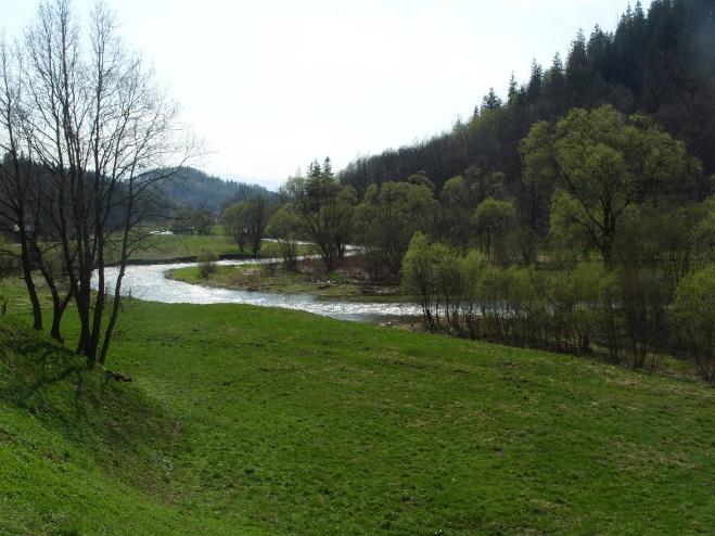 Bilans wdrażania Ramowej Dyrektywy Wodnej 2012 202, okres jednej władzy wodnej Nowe Prawo wodne nowe/ stare problemy Brak organu odpowiedzialnego za osiągnięcie celów środowiskowych dla wód W