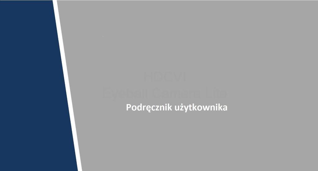Kamera kopułowa