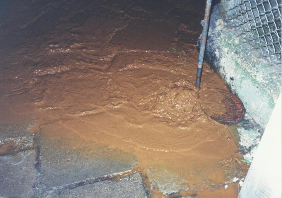 w latach 1998 1999 firma z Nowej Soli wykonała nam