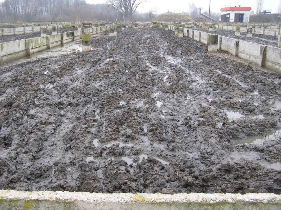 Obumarły osad został zrzucony na
