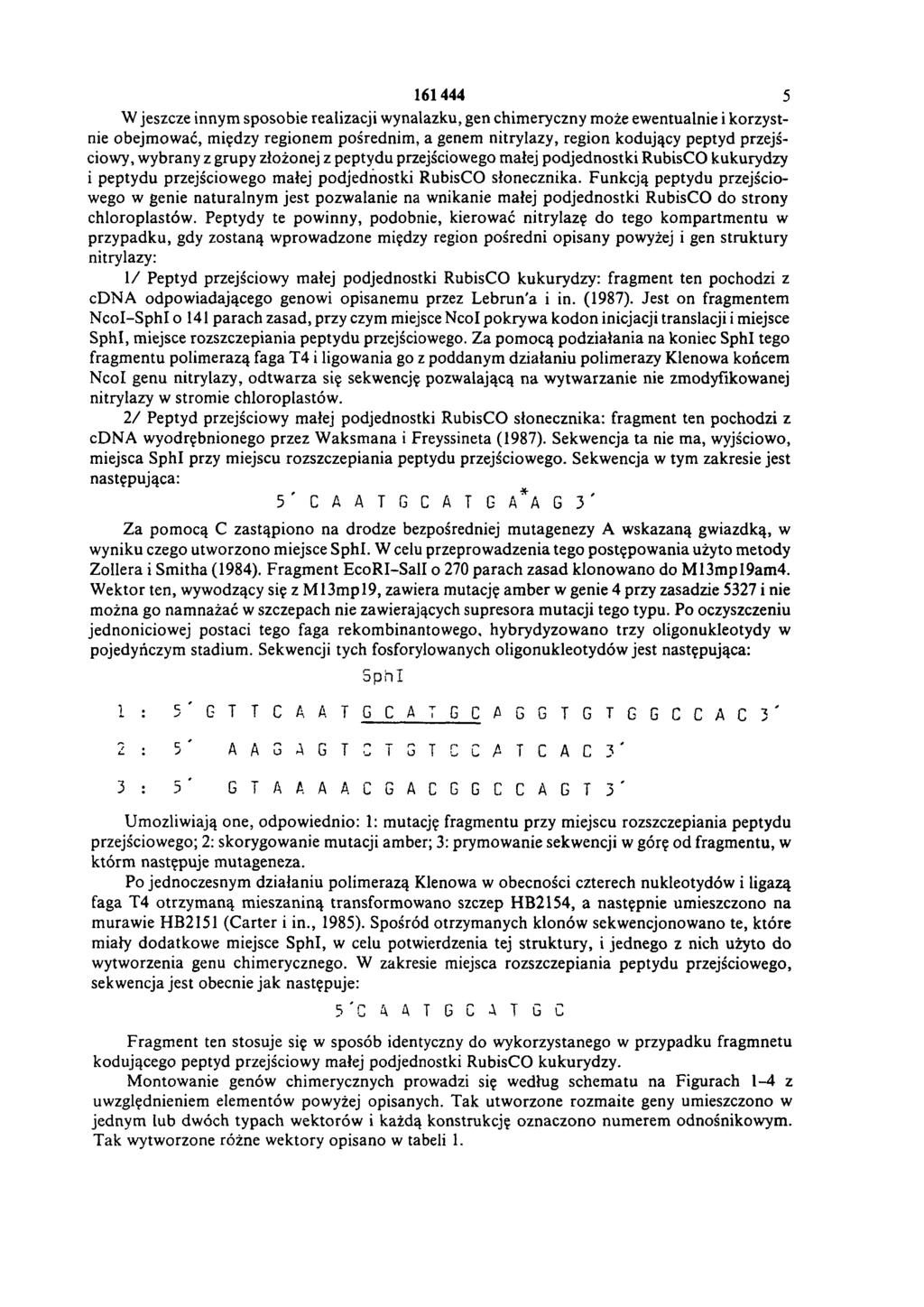161 444 5 W jeszcze innym sposobie realizacji w ynalazku, gen chim eryczny m oże ew entualnie i korzystnie obejm ow ać, między regionem pośrednim, a genem nitrylazy, region kodujący peptyd