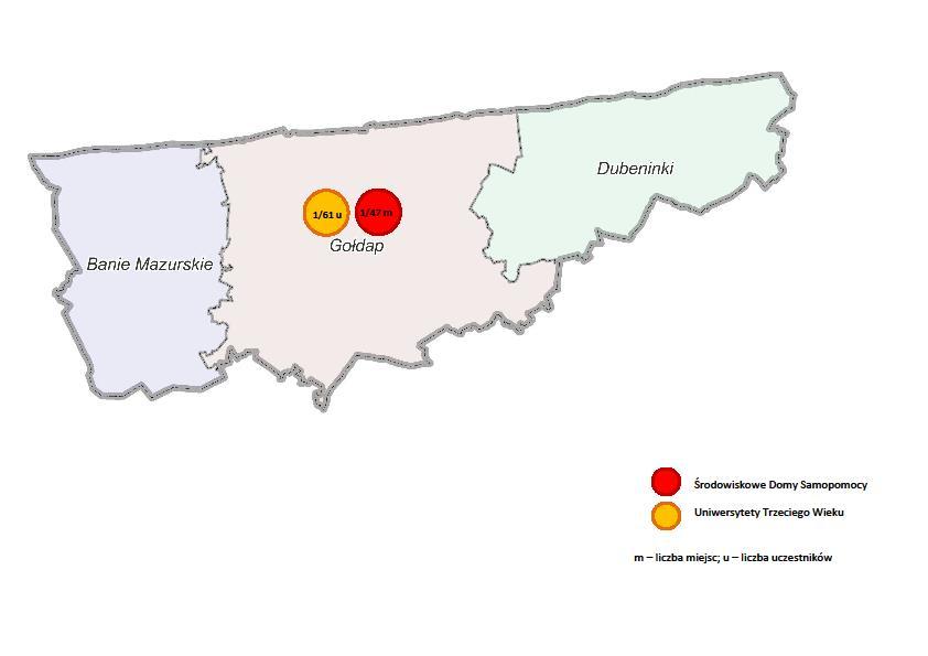 Infrastruktura pomocy społecznej dostępna wg potrzeb osobom starszym w powiecie gołdapskim wg stanu na 31.12.2017 r.