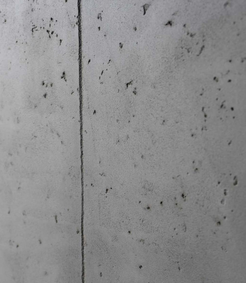 BOLIX BETON efekt betonu PL EN Tynk imitujący strukturę betonu to znakomity przykład nowoczesnego podejścia do klasycznych wyznaczników elegancji.