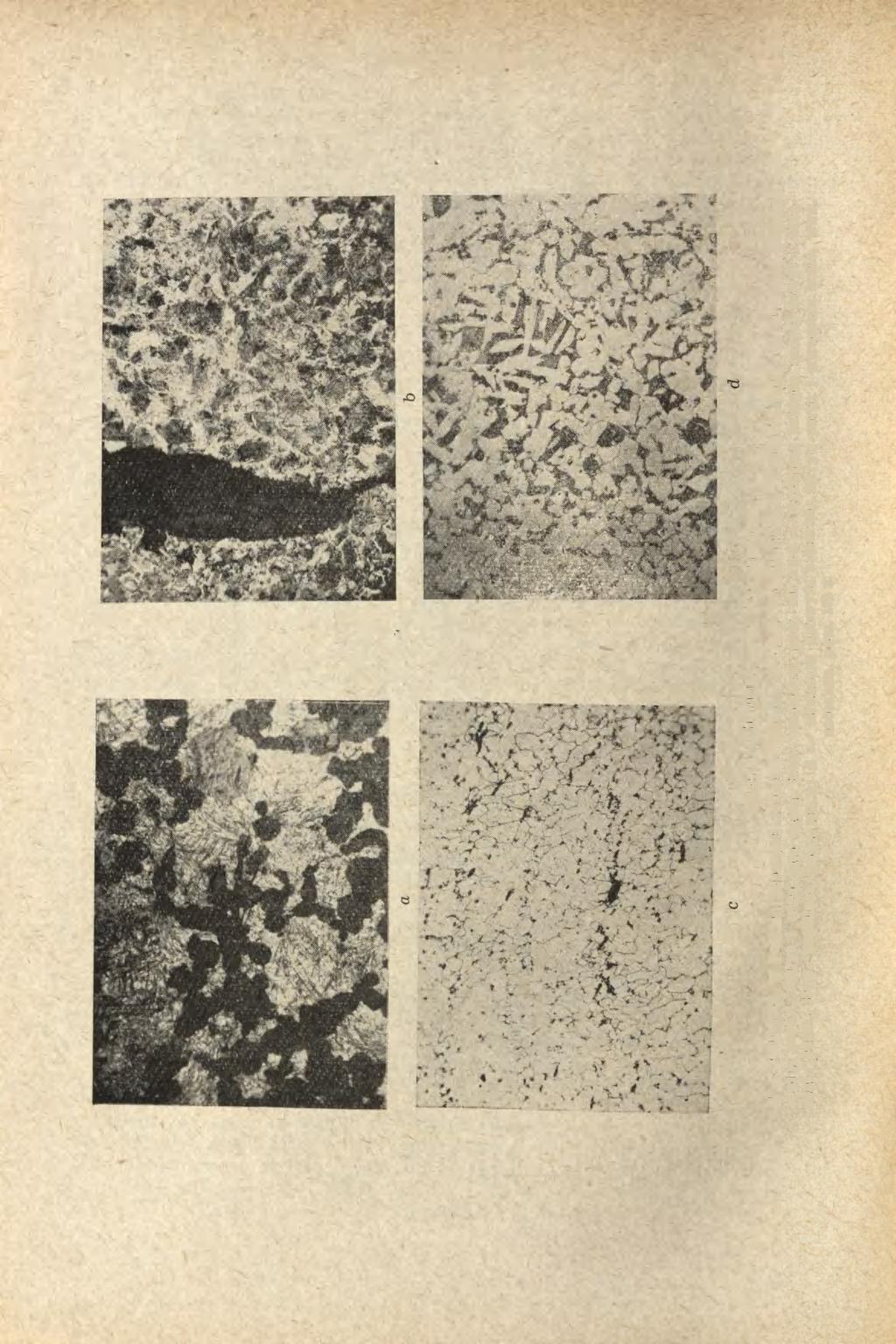 436 Ryc. 8. Chorula, pow.