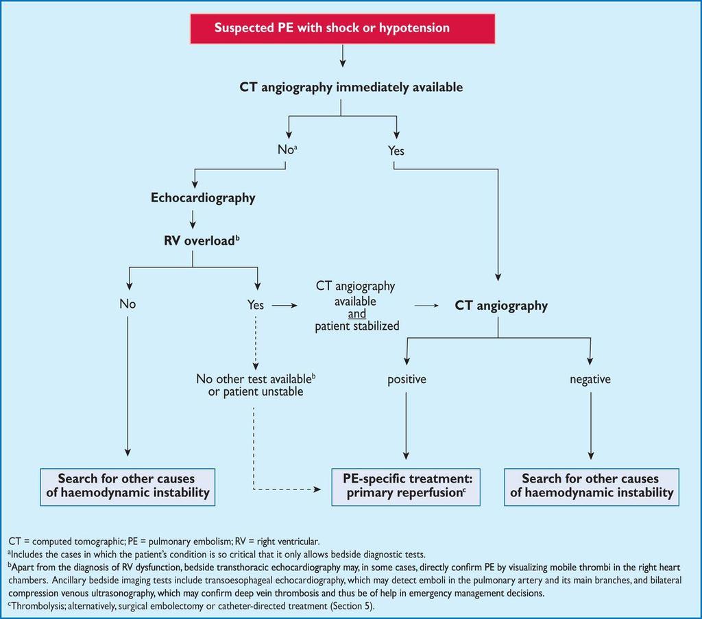 Proposed diagnostic algorithm for patients with suspected high-risk PE, i.e. presenting with shock or hypotension. Authors/Task Force Members et al.