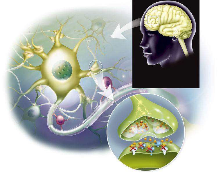 METODY NEUROREGULACJI SYNTEZA
