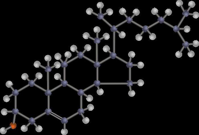 NEUROPRZEKAŹNIKI Neuroprzekaźnik związek chemiczny, którego cząsteczki przenoszą sygnał pomiędzy neuronami poprzez synapsy, a