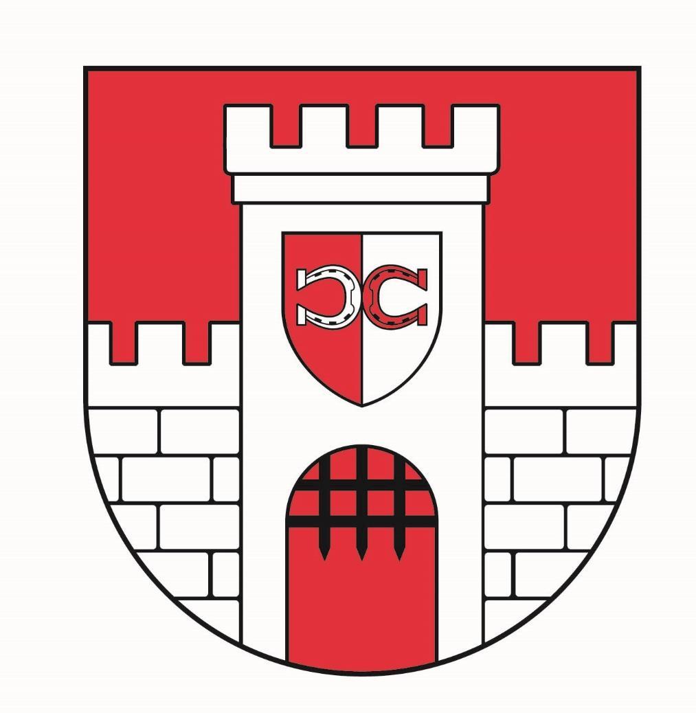 RAPORT O STANIE GMINY BIAŁA ZA ROK 2018 Burmistrz Białej Biała, maj