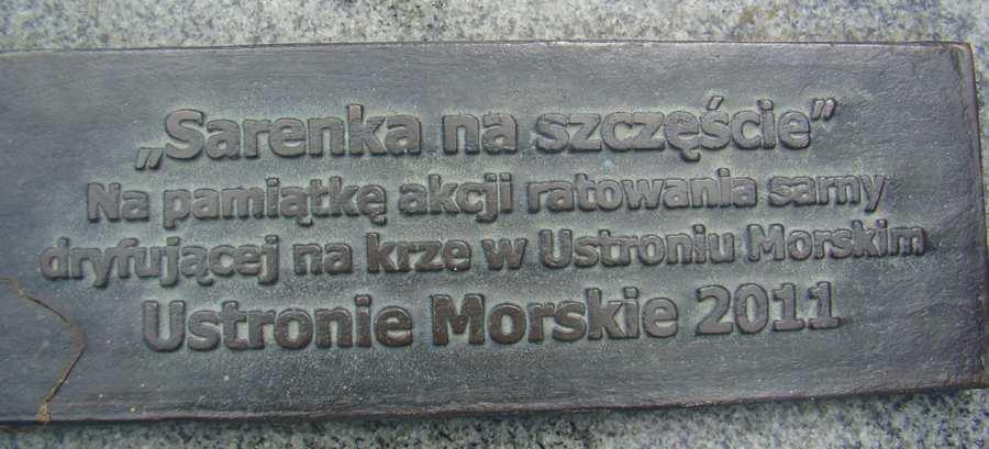 sauna, zjeżdżalnia itp.